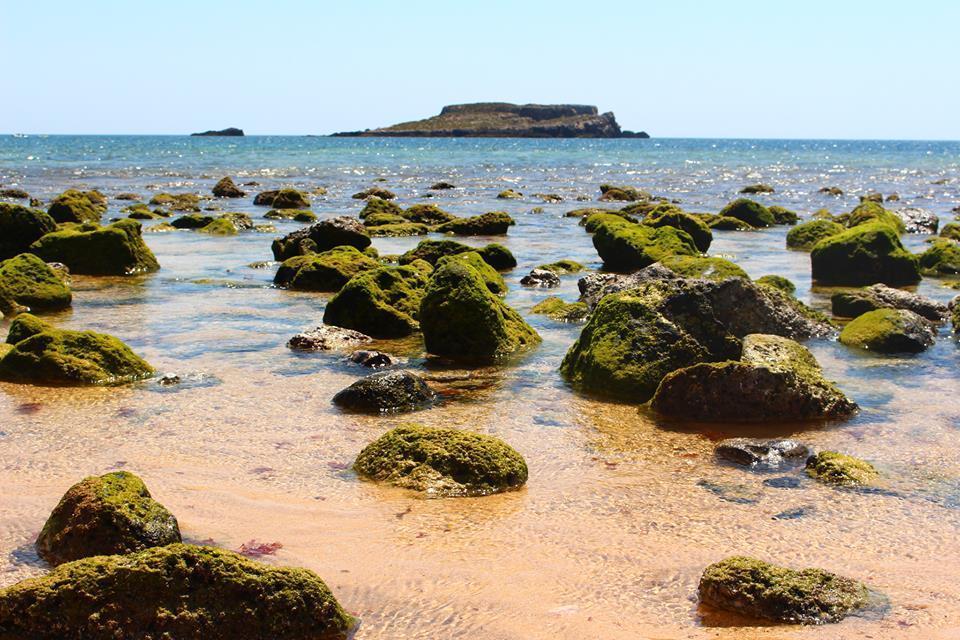 Sagres Sunny Room With Private Bathroom 300M From The Beach 외부 사진